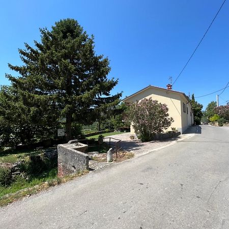 Apartmaji Klabjan - Kaki Osp Zewnętrze zdjęcie